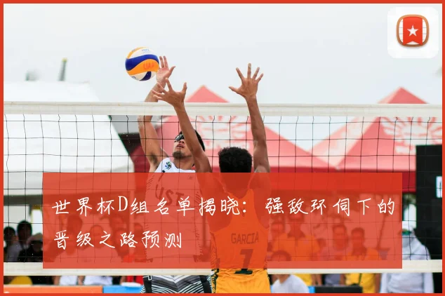 世界杯D组名单揭晓:强敌环伺下的晋级之路预测