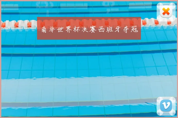 南非世界杯决赛西班牙夺冠