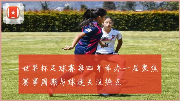 世界杯足球赛每四年举办一届聚焦赛事周期与球迷关注热点