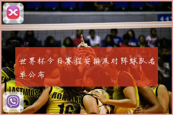 世界杯今日赛程安排及对阵球队名单公布